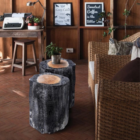 Carbonized Wood Stump Acrylic Stool & Side Table - Ripple