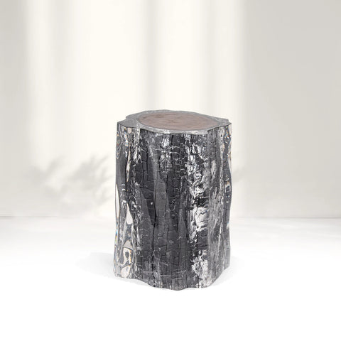 Carbonized Wood Stump Acrylic Stool & Side Table - Ripple