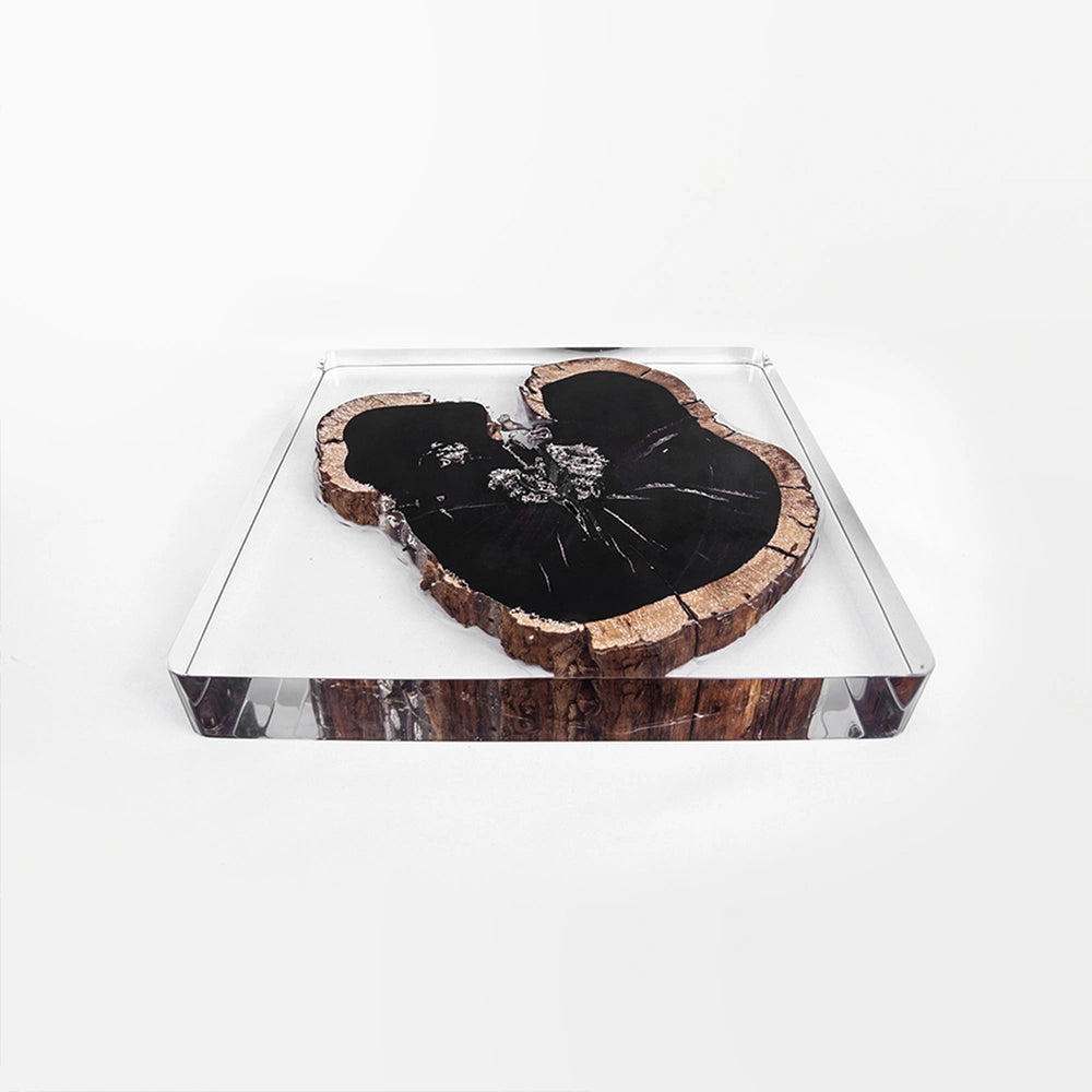 Ebony Wood Acrylic Tray