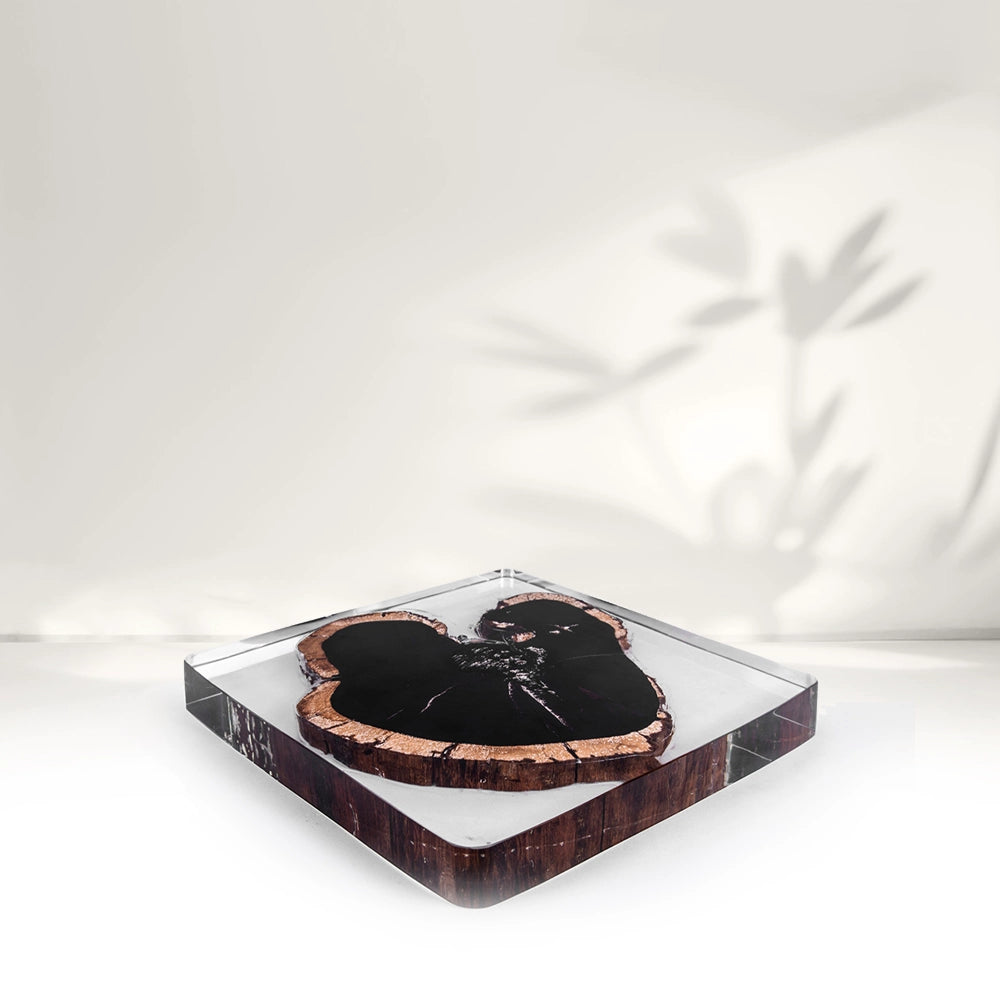 Ebony Wood Acrylic Tray