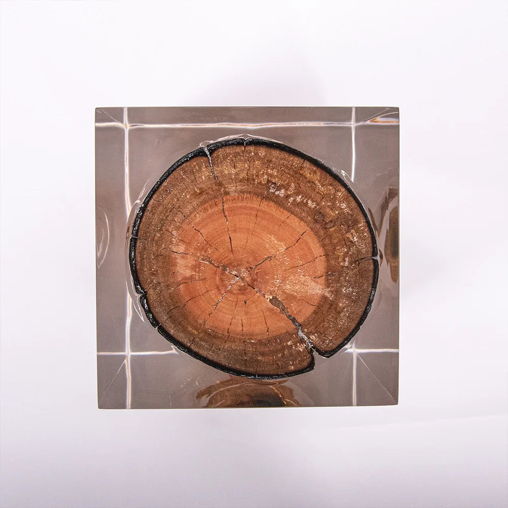 Half-burned Acrylic Wood Stump Stool Side Table