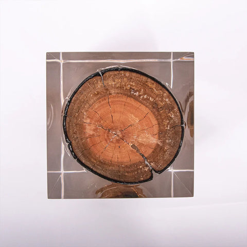 Half-burned Acrylic Wood Stump Stool Side Table