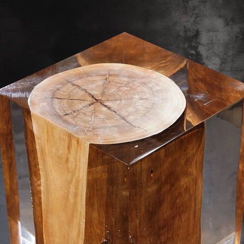 Rustic Wood Stump Acrylic Stool Side Table -Cut