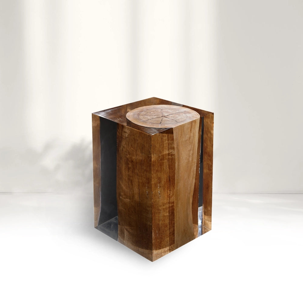 Rustic Wood Stump Acrylic Stool Side Table -Cut