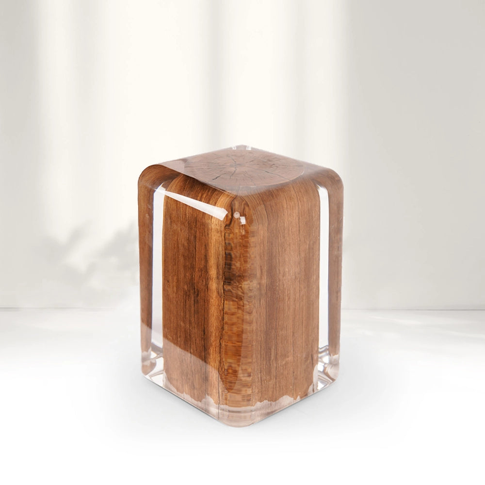 Rustic Wood Stump Acrylic Stool Side Table