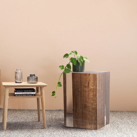 Rustic Wood Stump Acrylic Stool Side Table