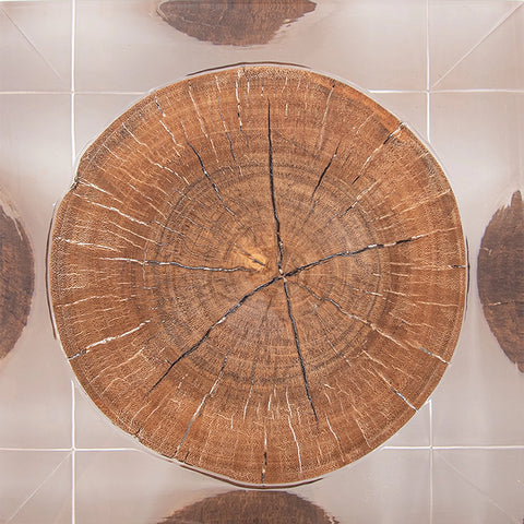 Rustic Wood Stump Acrylic Stool Side Table