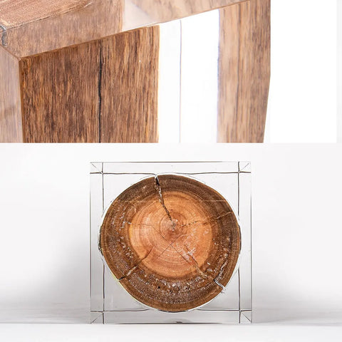 Rustic Wood Stump Acrylic Stool Side Table