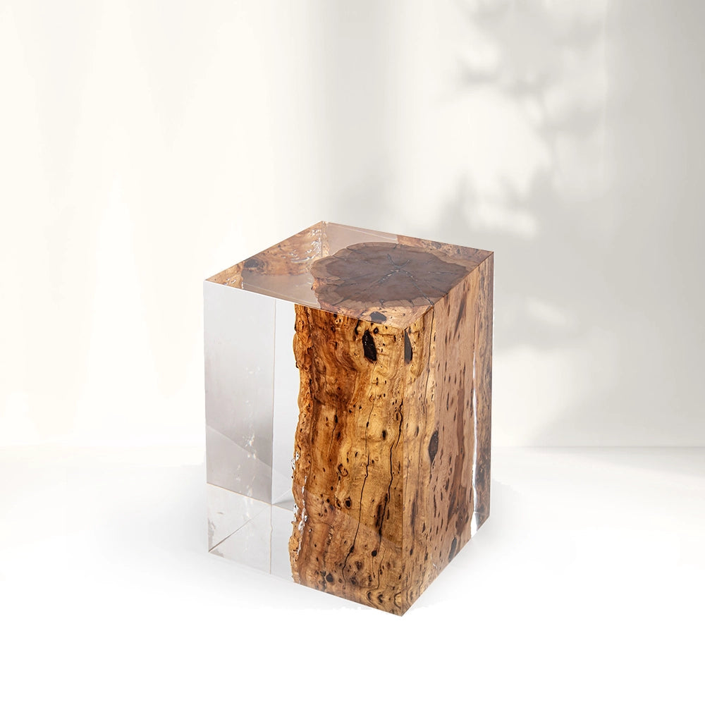 Sandal Wood Stump Acrylic Stool Side Table - Cut