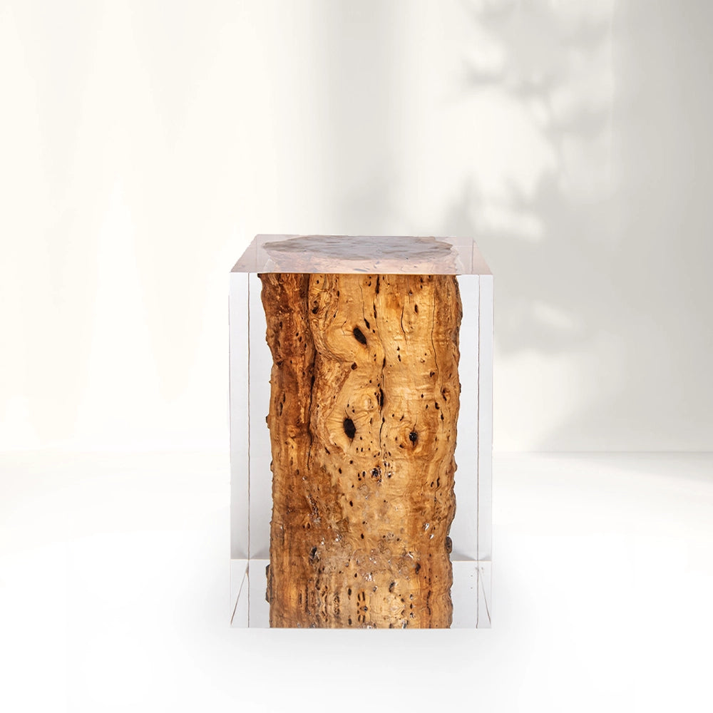 Sandal Wood Stump Acrylic Stool Side Table - Cut