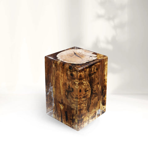 Sandalwood Stump Acrylic Stool Side Table