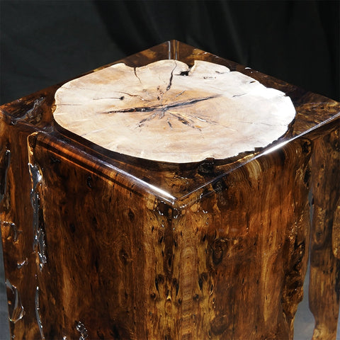 Sandalwood Stump Acrylic Stool Side Table