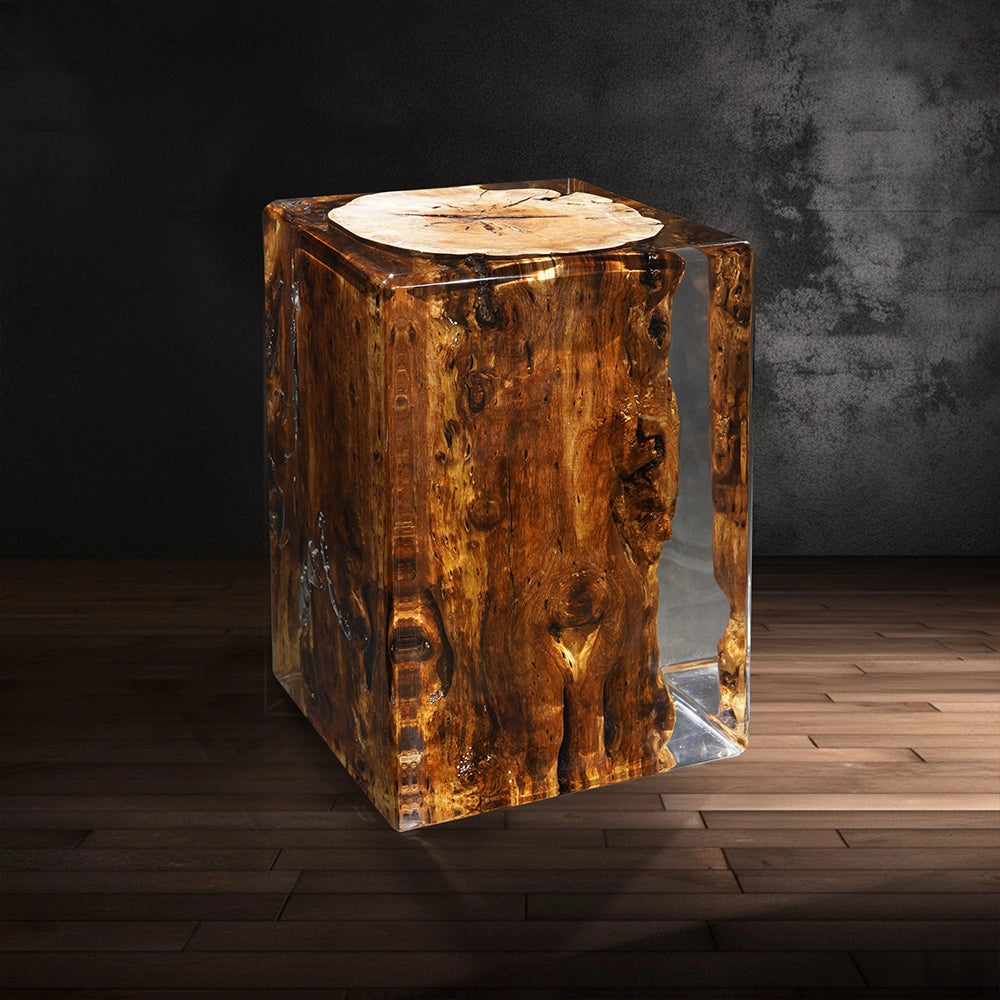 Sandalwood Stump Acrylic Stool Side Table