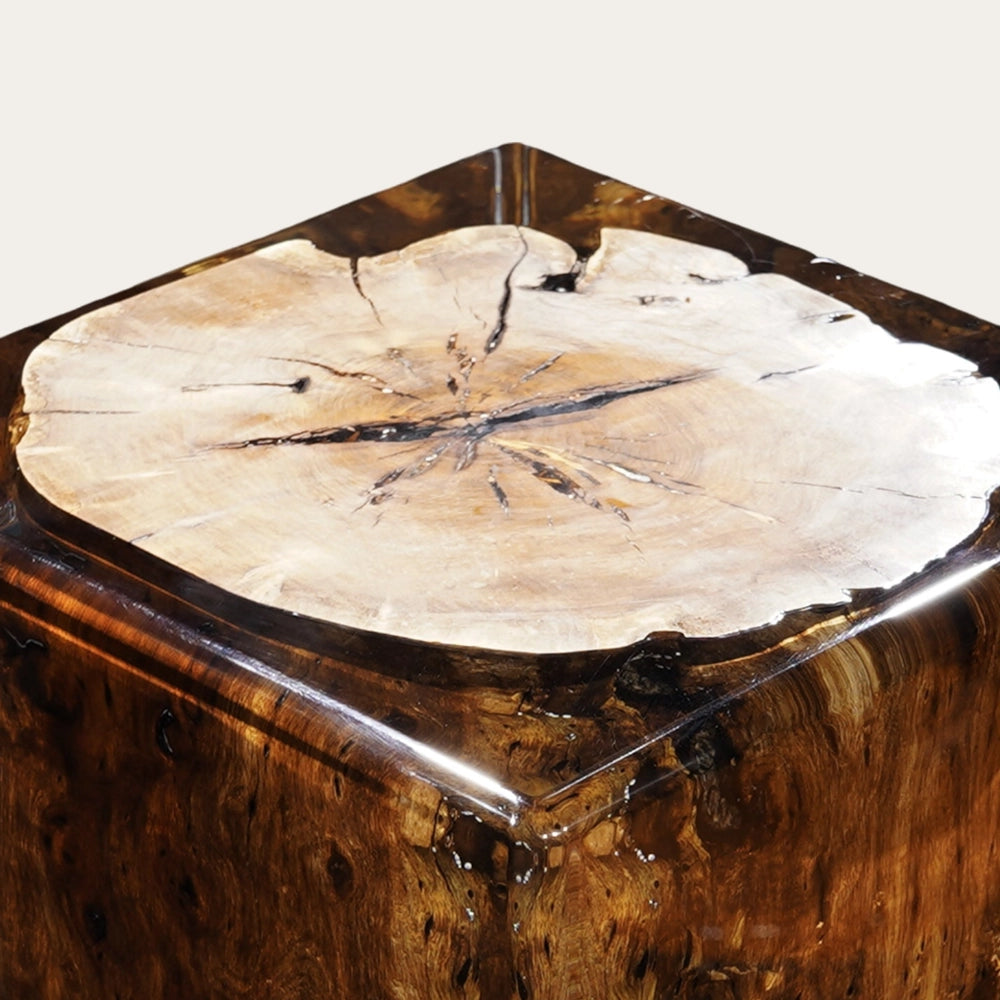 Sandalwood Stump Acrylic Stool Side Table