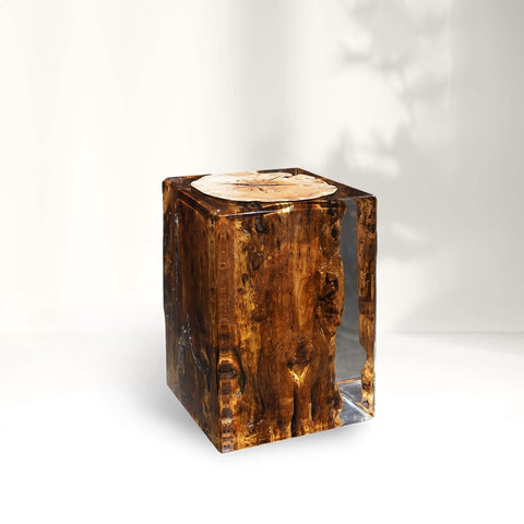 Sandalwood Stump Acrylic Stool Side Table