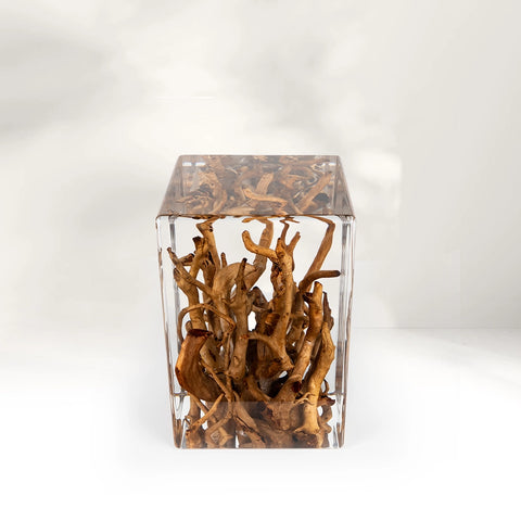 Tree Roots Acrylic Stool & Side Table