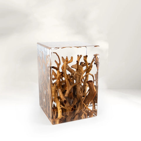 Tree Roots Acrylic Stool & Side Table